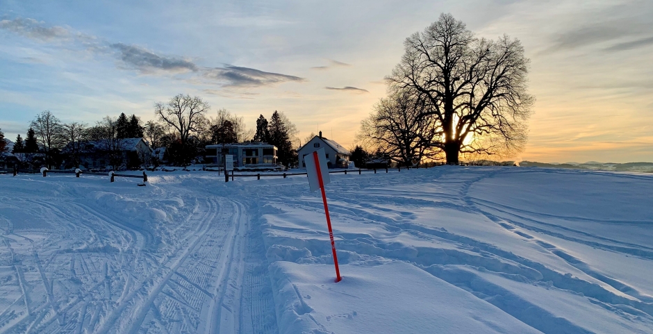 Kinderfestplatz Loipe
